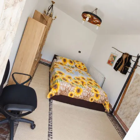 Casă 5 camere Băile Herculane - poza 10