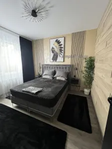 Apartament 2 camere Dobroești - poza 3