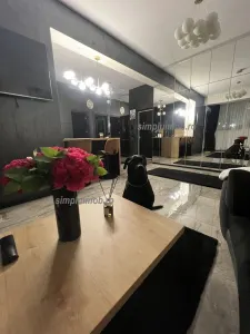 Apartament 2 camere Dobroești - poza 6