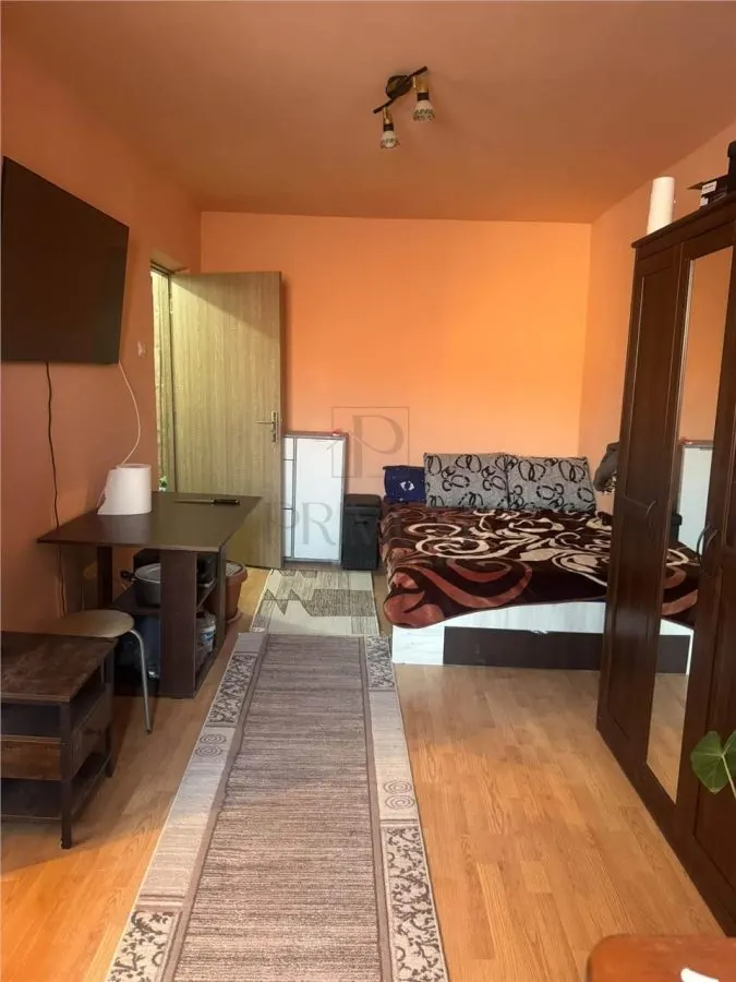 Apartament 1 camera Timișoara - poza 1