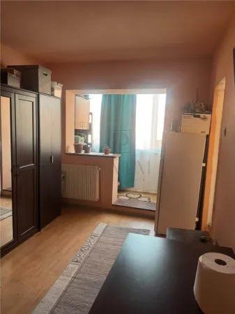 Apartament 1 camera Timișoara - poza 2