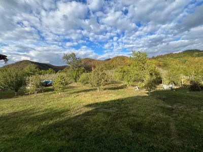 Casă 6 camere Cicarlau - poza 2