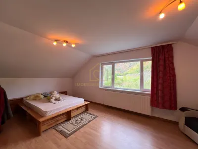 Casă 6 camere Cicarlau - poza 18