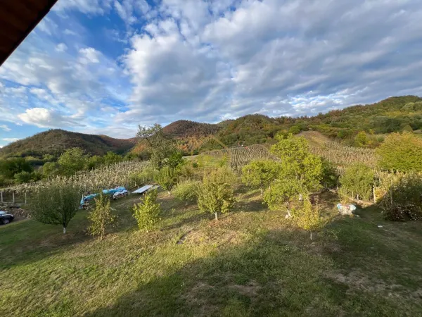 Casă 6 camere Cicarlau - poza 19