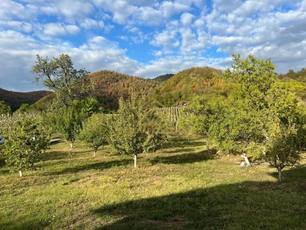 Casă 6 camere Cicarlau - poza 4