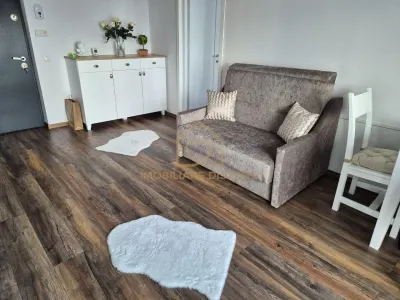 Apartament 2 camere Baia Mare - poza 4