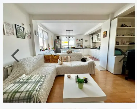 Apartament 3 camere Dumbrăvița - poza 2