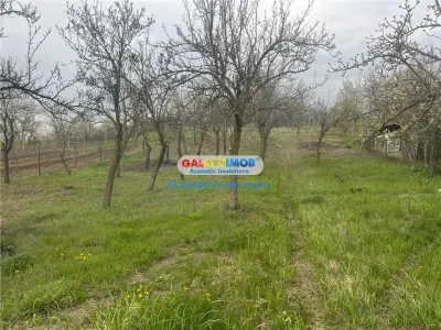 Teren Calinesti - poza 4