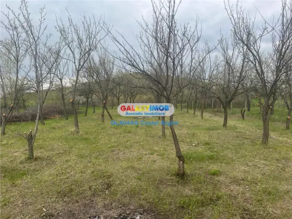 Teren Calinesti - poza 8