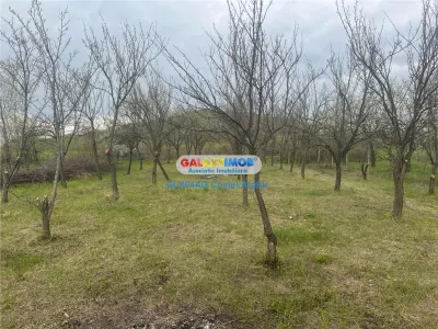 Teren Calinesti - poza 8