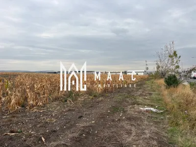 Teren Sibiu - poza 3