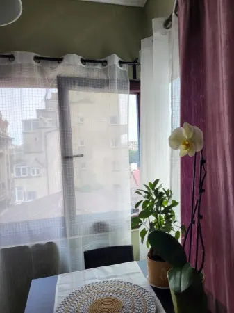Garsonieră București - poza 7