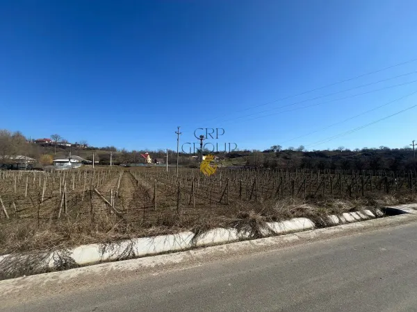 Teren Movilita - poza 1
