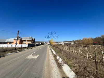 Teren Movilita - poza 3