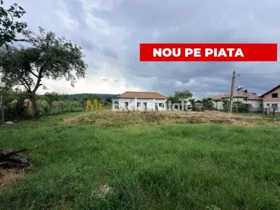 Teren intravilan–2.104 mp | Albești - Transfagarasan - Curtea de Arges - Albestii de Arges
