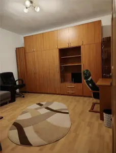 DAMBOVITA - AP 1 CAMERA LA CURTE - SPATIOS - MOBILAT  + BOXA - Timisoara