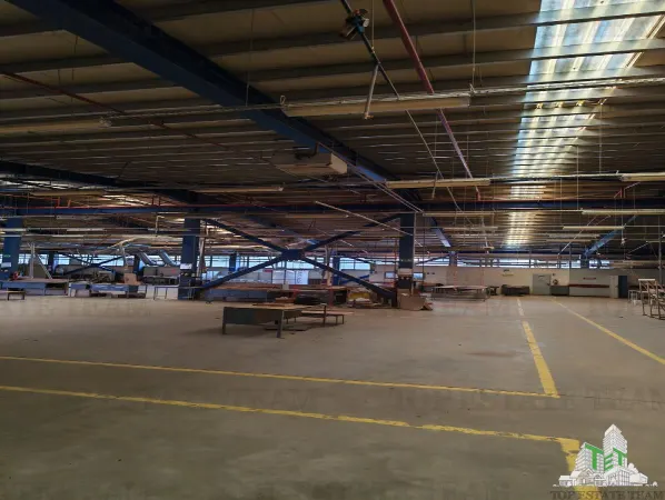 Spațiu industrial Târgu Ocna - poza 16