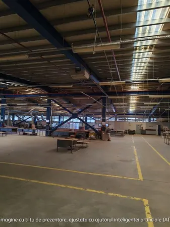 Spațiu industrial Târgu Ocna - poza 9