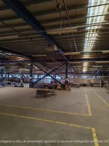 Spațiu industrial Târgu Ocna - poza 9