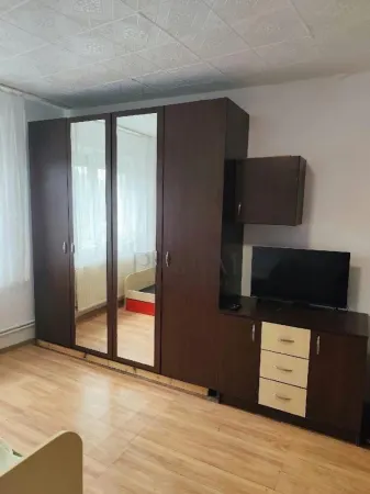 Apartament 1 camera Timișoara - poza 2