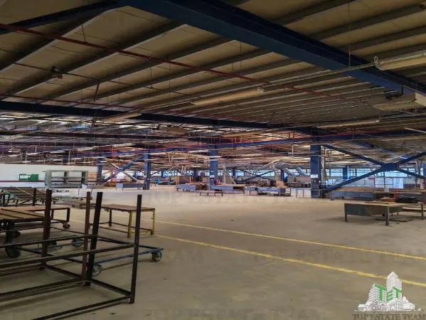 Spațiu industrial Târgu Ocna - poza 14