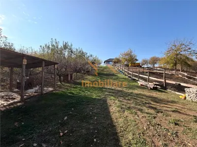 Casă 4 camere Hotar - poza 16