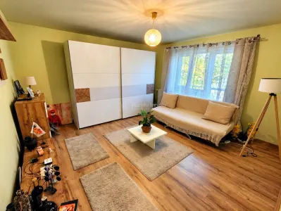 Apartament 2 camere Gradinari - poza 2