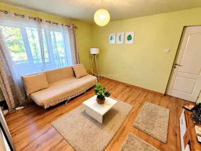 Apartament 2 camere Gradinari - poza 4