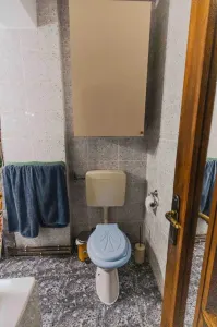 Decomandat, etaj intermediar, central - Timisoara