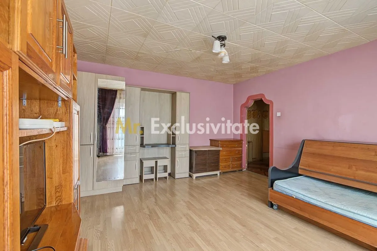 Apartament 2 camere Mioveni - poza 1