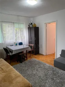 Apartament 2 camere Timișoara - poza 2