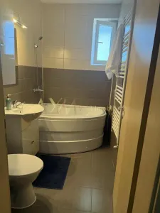 Apartament 1 camera Giroc - poza 19