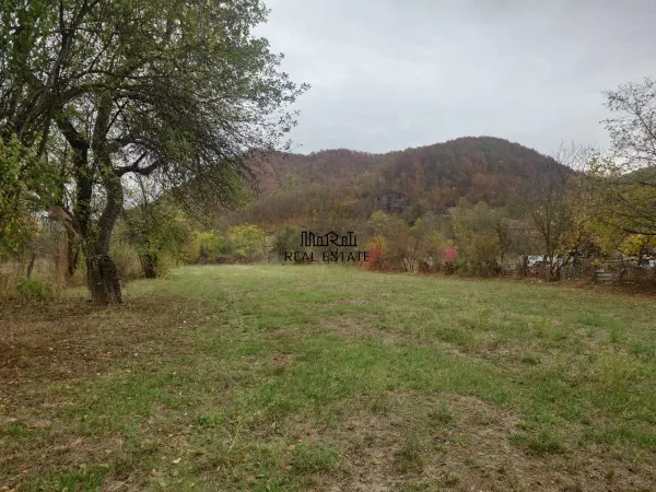 Teren Criscior - poza 12