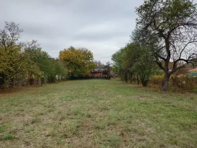 Teren Criscior - poza 19
