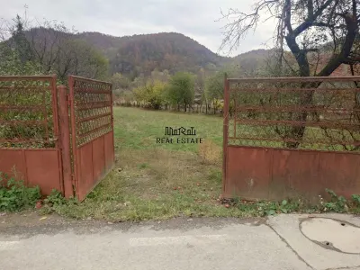 Teren Criscior - poza 4