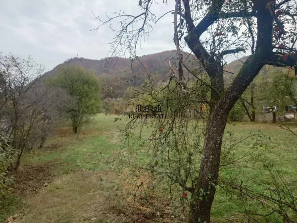 Teren Criscior - poza 5