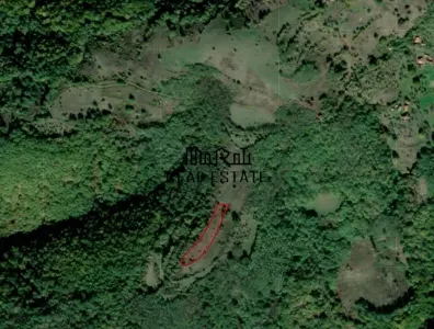 Teren Valisoara - poza 6