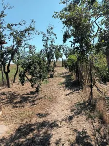 Casă 3 camere Harsesti - poza 7