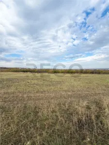 RECO Teren Intravilan, Zona Paleu - Paleu