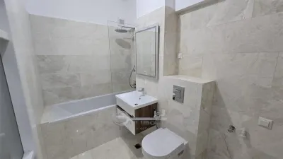 Apartament 1 camera Iași - poza 8