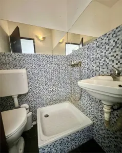 Apartament 1 camera Timișoara - poza 5