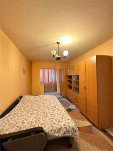 Apartament 2 camere Timișoara - poza 2