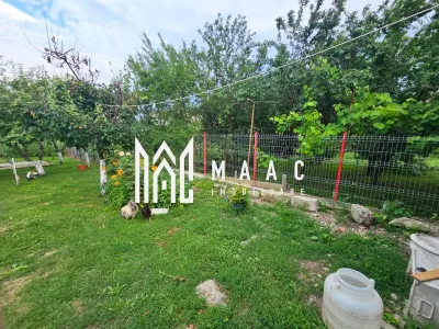 Casă 4 camere Cisnădie - poza 21