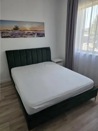Casă 4 camere Tamasi - poza 15