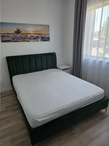 Casă 4 camere Tamasi - poza 15