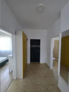 Casă 4 camere Tamasi - poza 21