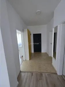 Casă 4 camere Tamasi - poza 23