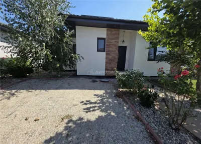 Casă 4 camere Tamasi - poza 39