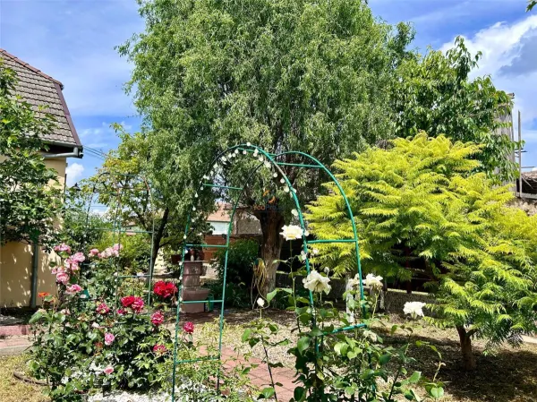 Casă 6 camere Dinias - poza 32