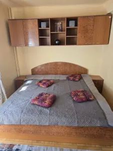 Apartament 2 camere Timișoara - poza 3